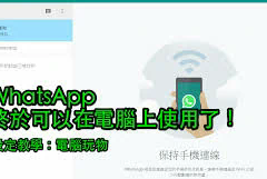 WhatsApp上只有一个检查标记？_1